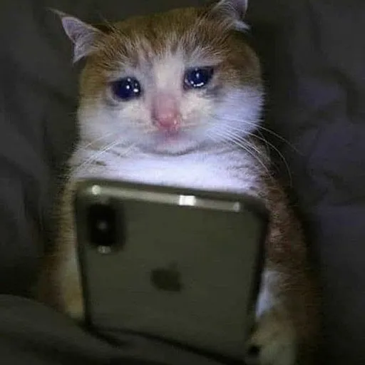 creator Mariah! (mee!!)'s avatar