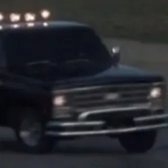 creator 1979 Chevrolet C20's avatar