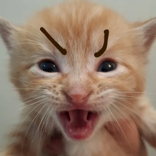 creator Magnifyingthelord's avatar