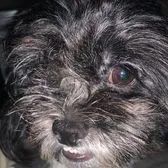 creator xio.788's avatar