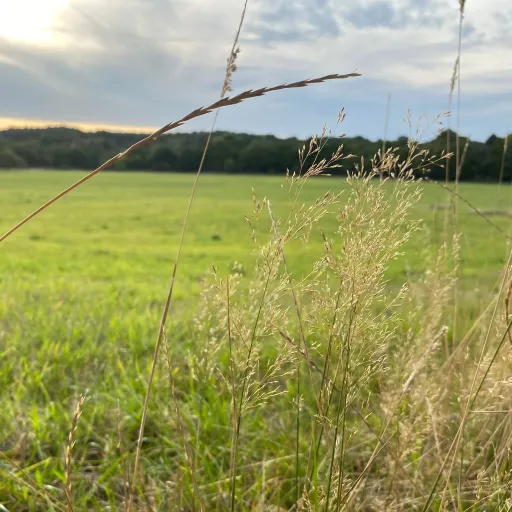 creator harrypotter_lover9's avatar