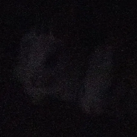 creator 9 Tails!'s avatar