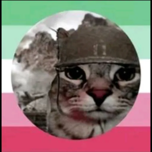 creator MerpTheGayCharlie's avatar