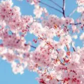 chat with ai character: Mha pick me 