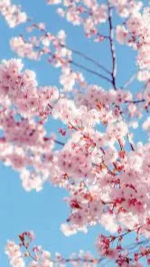 ai character: Mha pick me  background