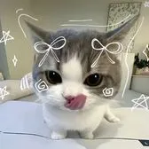 creator Waaaaaar's avatar