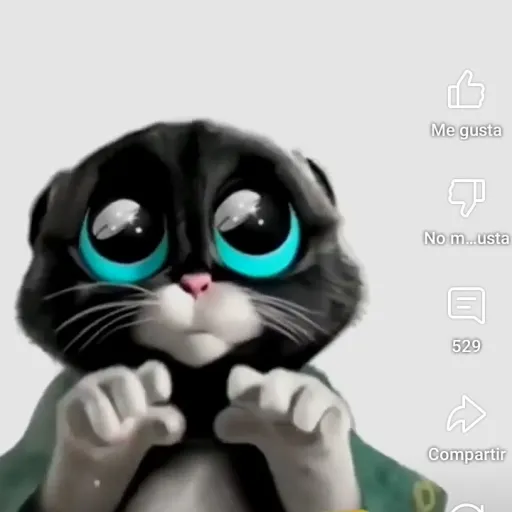 creator Paola Soto Ayala's avatar