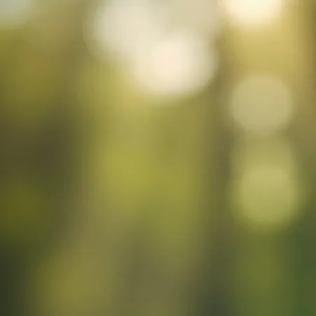 chat with ai character: preg toy chica