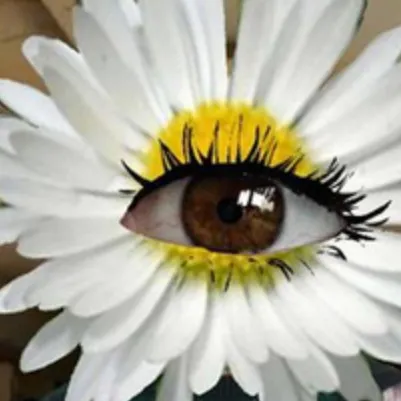 chat with ai character: lily