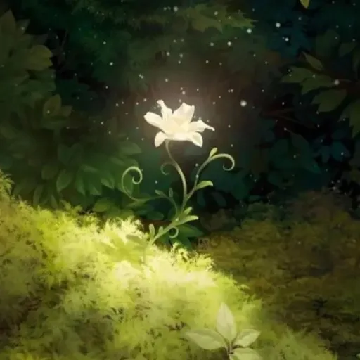 creator LadySunflower's avatar