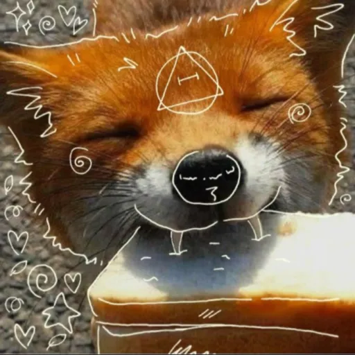 creator 🎀🍞cute_fox~🦊🎀's avatar