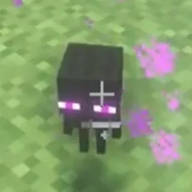 creator 𖨆𖤐♫EnderCreator♫𖤐𖨆's avatar