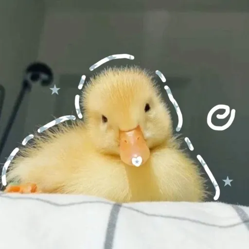 creator clara. 128's avatar