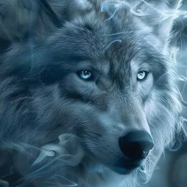 creator dave the wolf's avatar