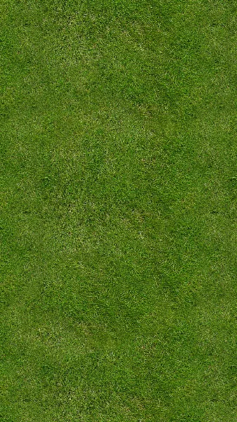 ai character: grass just grass background