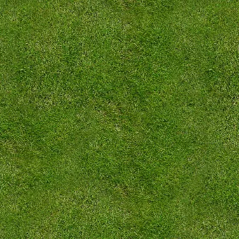 chat with ai character: grass just grass