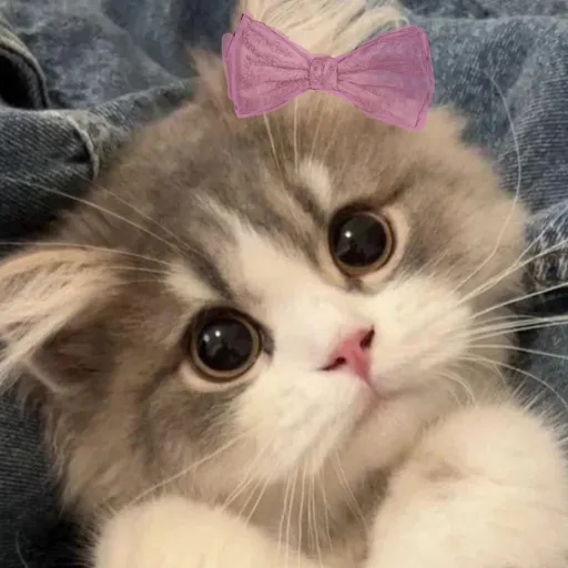 creator ゲイ毛皮's avatar