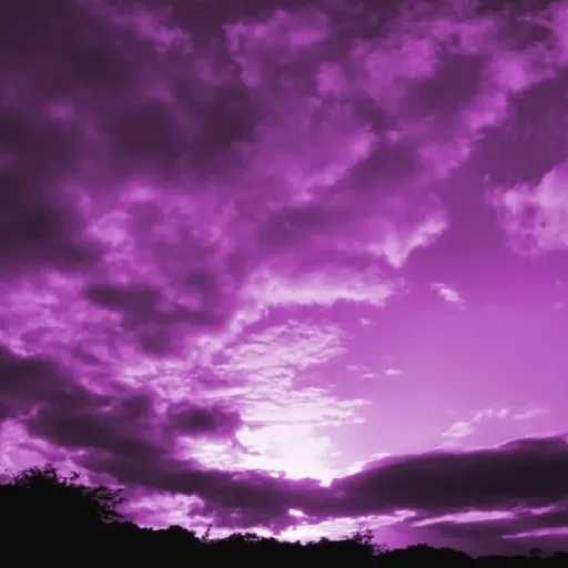 creator Камикадзо's avatar