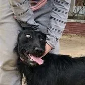 creator Liwr's avatar