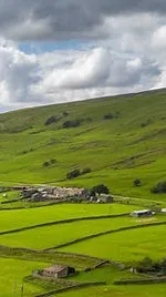 ai character: Saiki K background