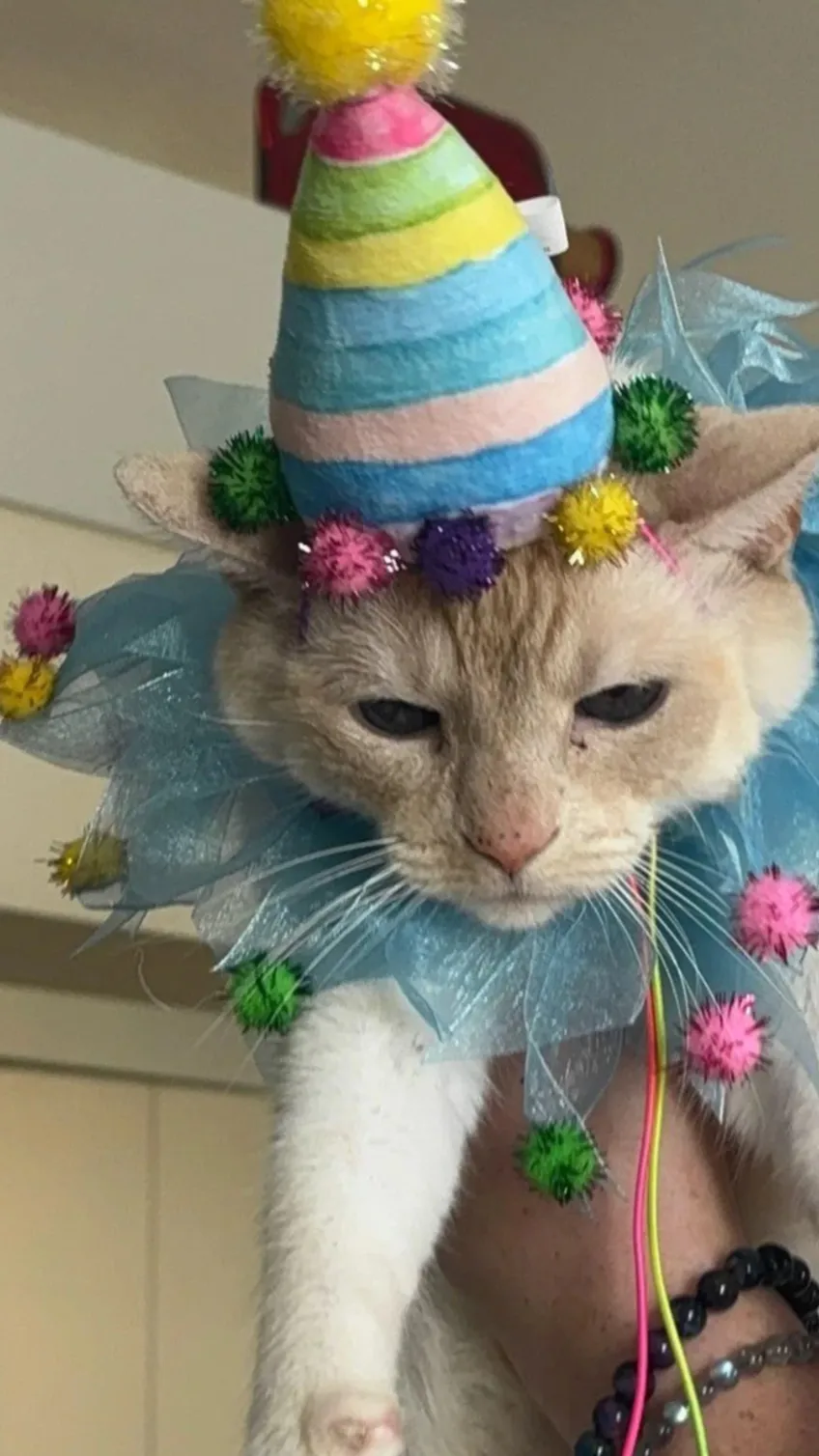 ai character: Poncho background