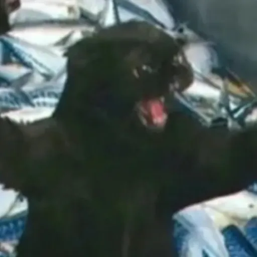 creator Sophi RC's avatar