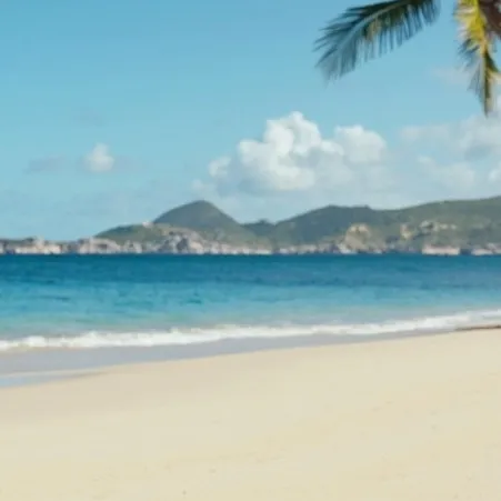 chat with ai character: MHA beach
MHA trip