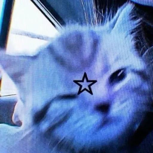 creator °.•lovexlike•.°'s avatar