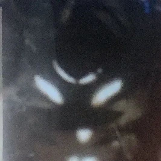 chat with ai character: |~E.V.E.E~|