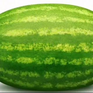 creator moelnes's avatar