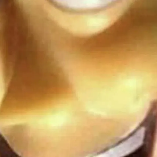 chat with ai character: a bunch of pets