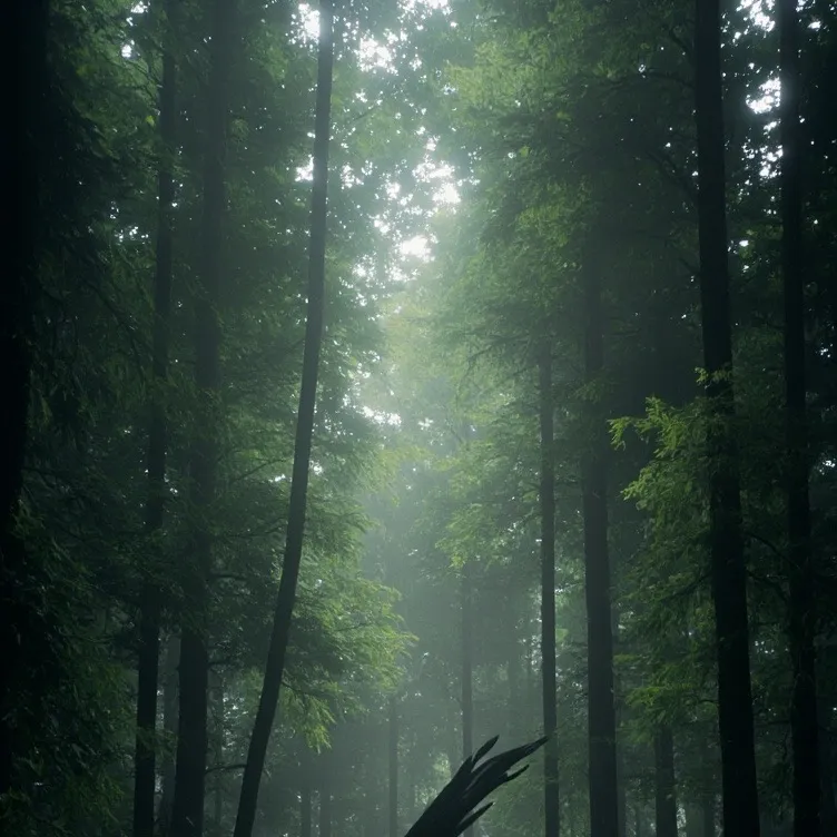 chat with ai character: Min-jae!! [aouad]