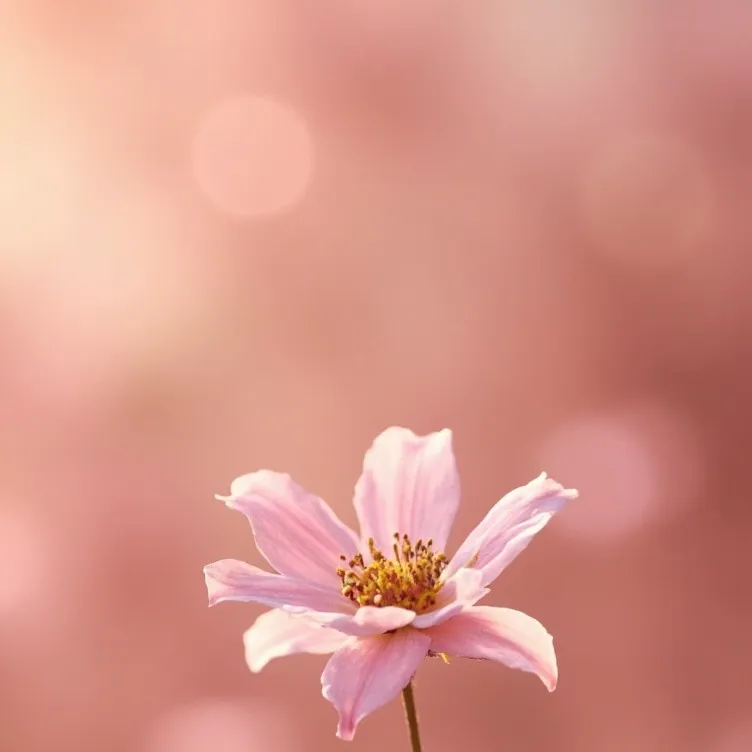 chat with ai character: Gwi-nam!! [aouad]