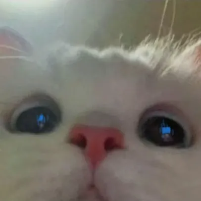 creator _______________3MK's avatar