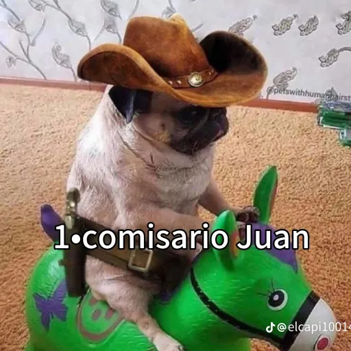 creator Elpepex777's avatar