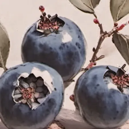 chat with ai character: AI blueberry