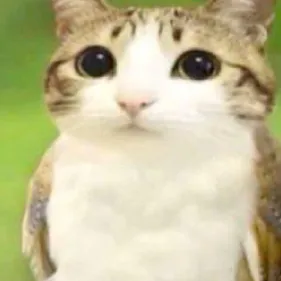 creator Meowlandfriends's avatar