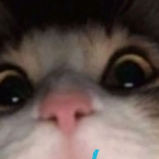 creator &@$$&@'s avatar