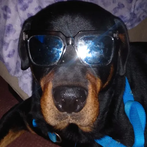 creator ZU ZU's avatar