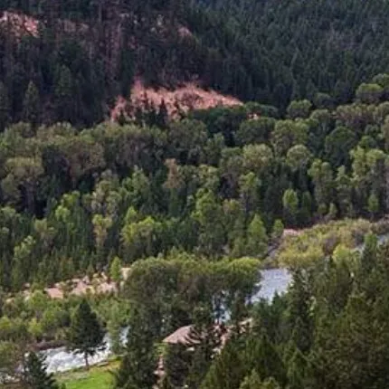 chat with ai character: N. American Forest