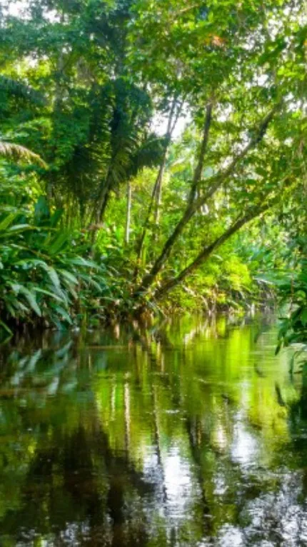 ai character: AMZRF Pt. 2. background