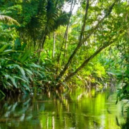 chat with ai character: AMZRF Pt. 2.