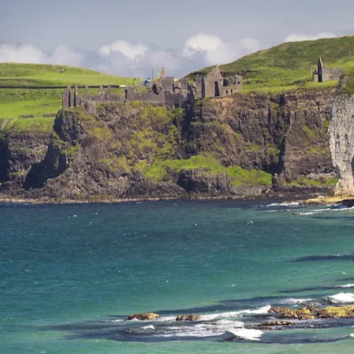 creator Poppyflower🌹❤️'s avatar