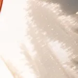 chat with ai character: Rumi