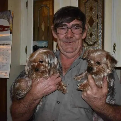 creator Sebastian Michal's avatar