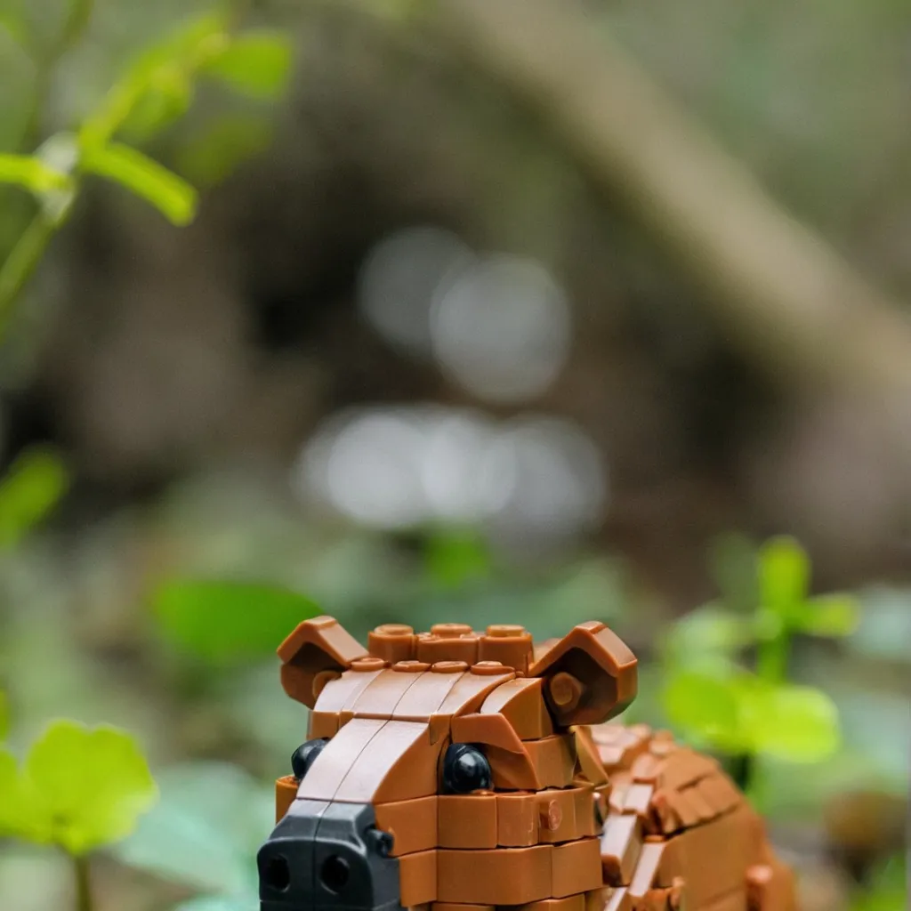 chat with ai character: My sp oc: capy