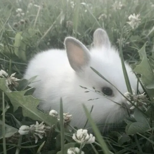 creator ♡☆Minako☆♡✨️'s avatar