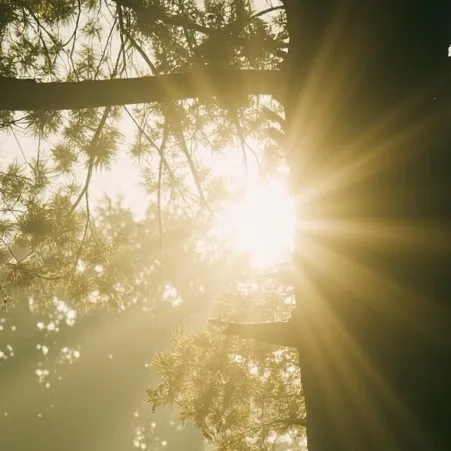 chat with ai character: David