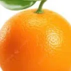 chat with ai character: Orange 