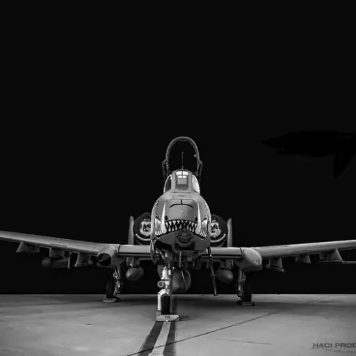 creator Fighter pilot's avatar